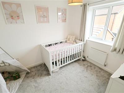 Picture 12